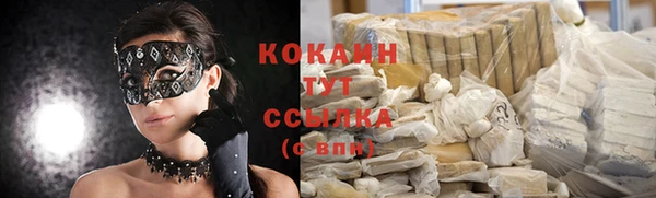 мдпв Володарск