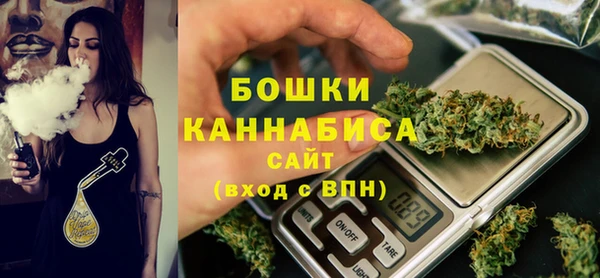 мдпв Володарск