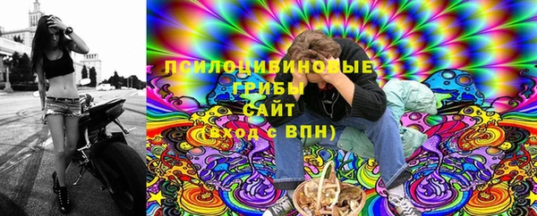 дурь Волосово